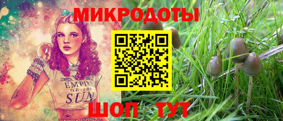 Галлюциногенные грибы Cubensis  Вход с VPN  Екатеринбург 